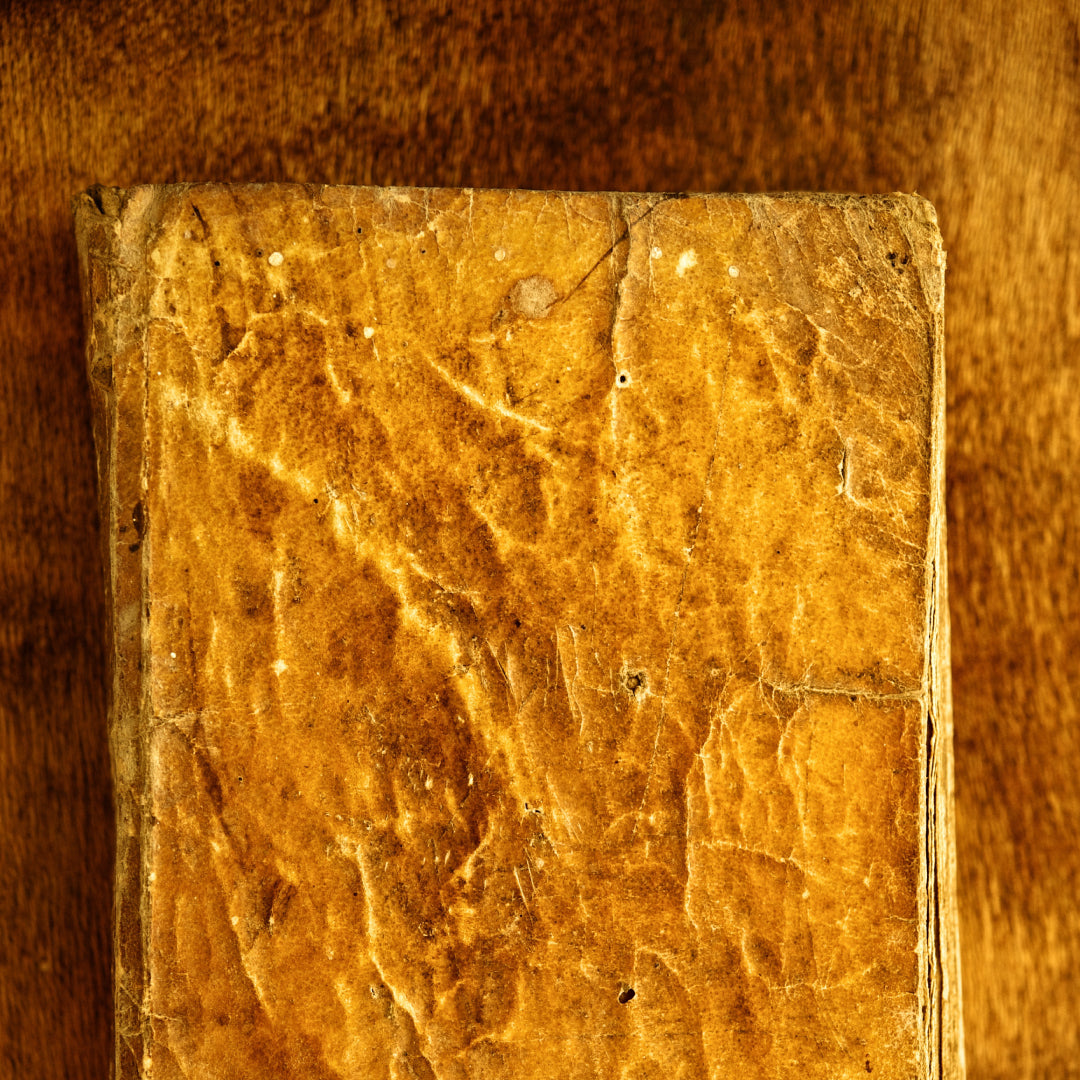 Close up of a old textured brown leather book